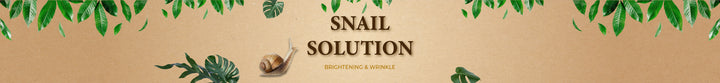SNAIL SOLUTION