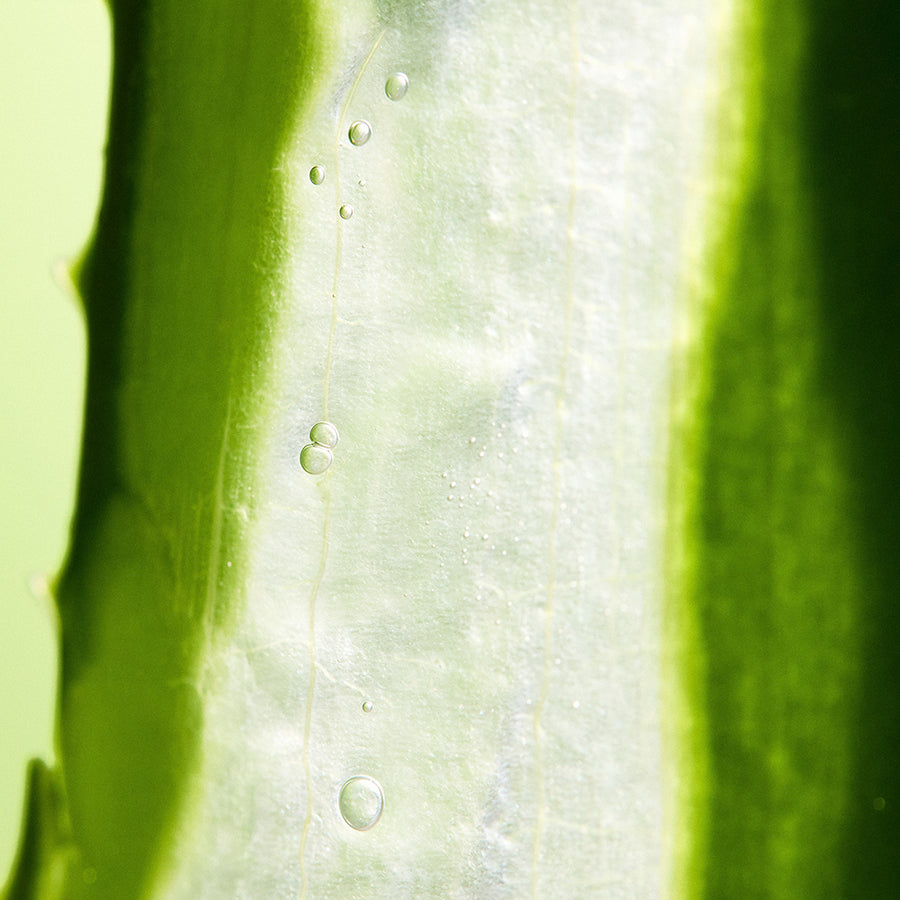 [VEGAN BEAUTY] [4X] Soothing & Moisture Aloe Vera 92% Soothing Gel (Tube)(New)