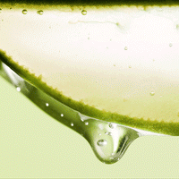 [4x] Soothing & Moisture Aloe Vera 92% Soothing Gel (Tube)