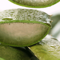 [VEGAN BEAUTY] [4X] Soothing & Moisture Aloe Vera 92% Soothing Gel (Tube)(New)