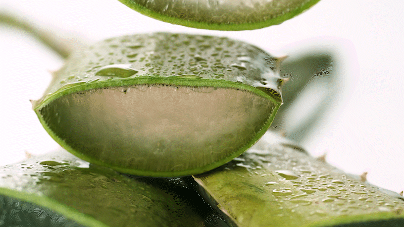 [VEGAN BEAUTY] [4X] Soothing & Moisture Aloe Vera 92% Soothing Gel (Tube)(New)