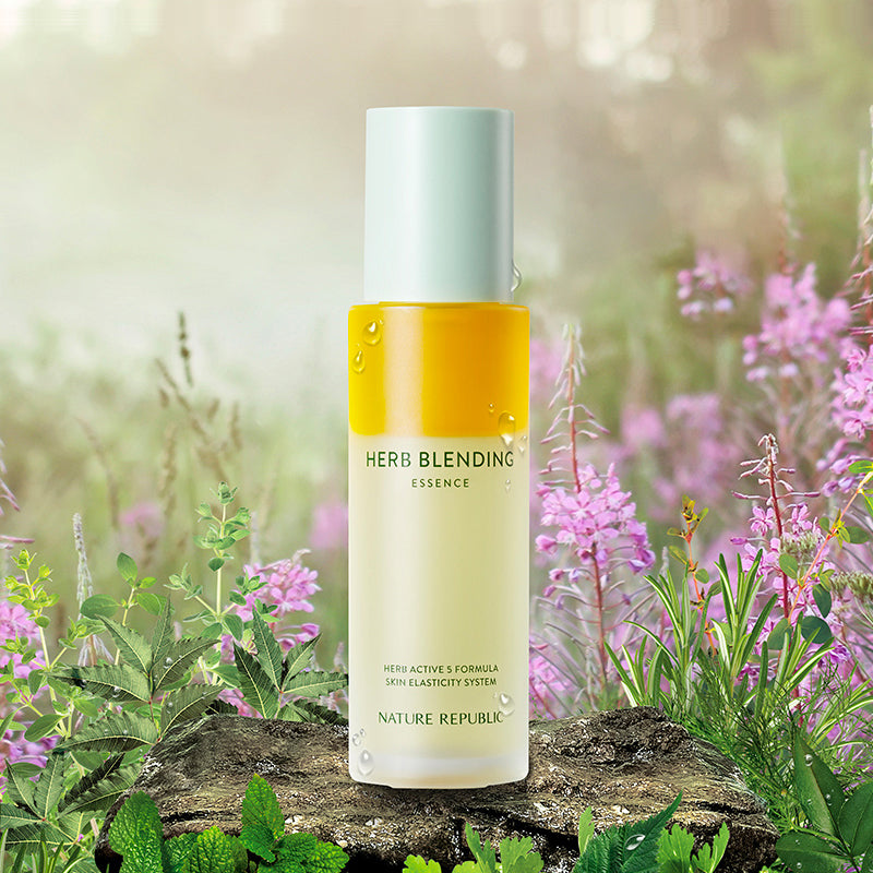 [DAY & NIGHT] Skin Elasticity & Brightening (Herb Blending Toner, Essence & Cream + Vitapair C Toner 150ml, Dark Spot Serum Special Set & Cream)