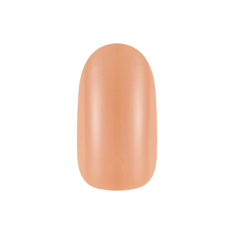 COLOR & NATURE NAIL COLOR 31 GLAM BEIGE