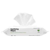 Aloe Antiseptic Sanitizing Wipes - 70 Sheets